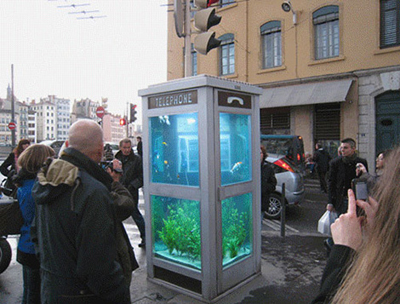 phone booth 2. phone-ooth-aquarium2